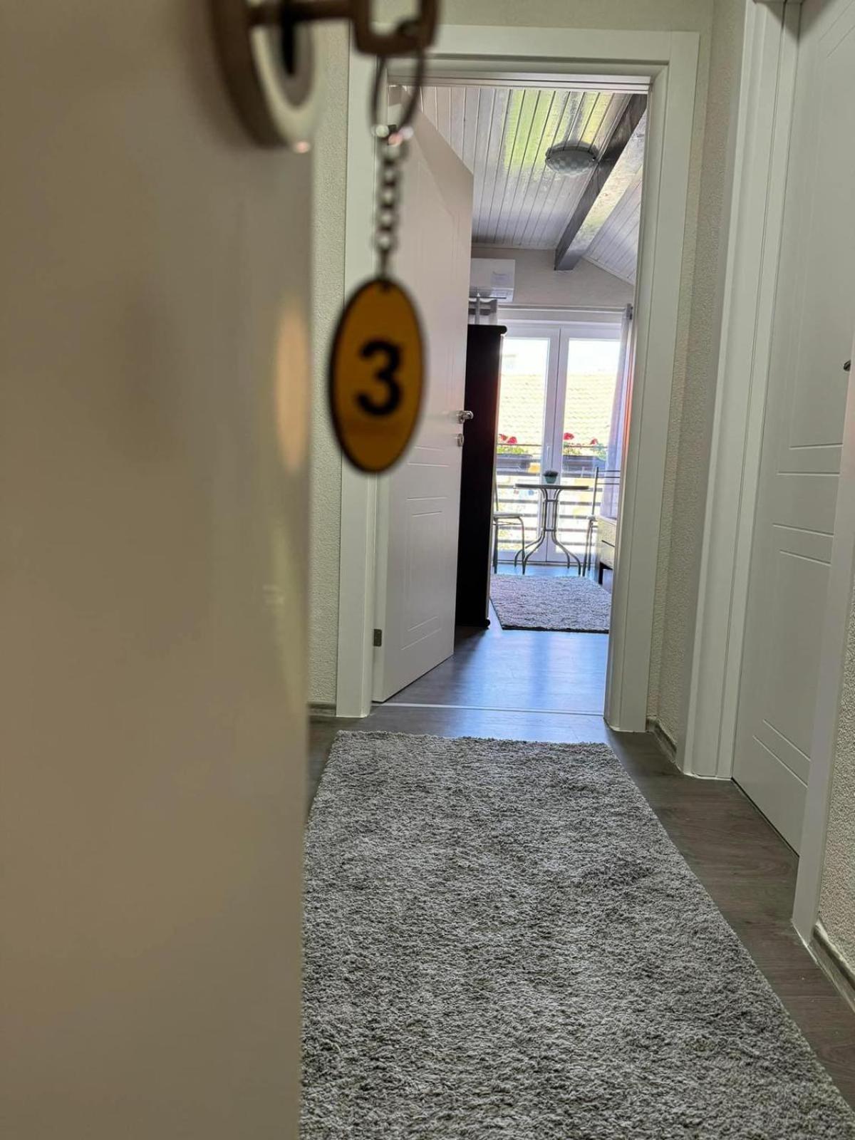 Villa Ristovski オフリド エクステリア 写真