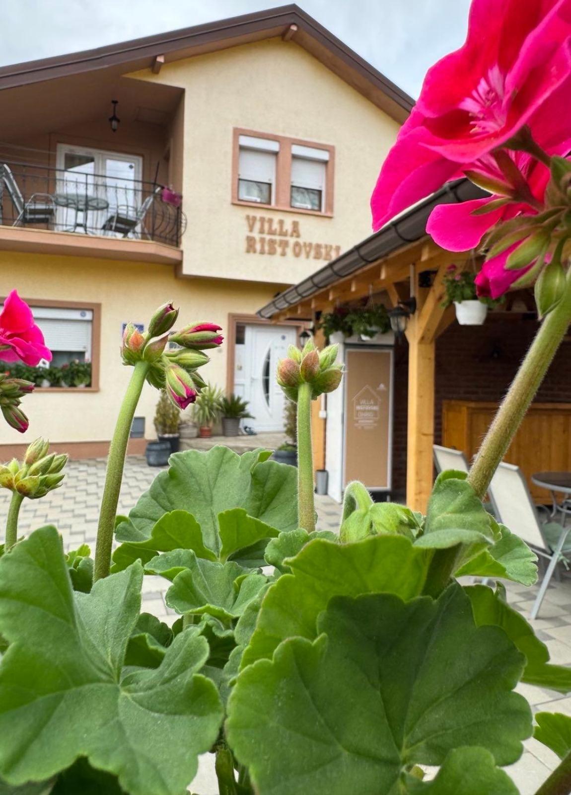 Villa Ristovski オフリド エクステリア 写真